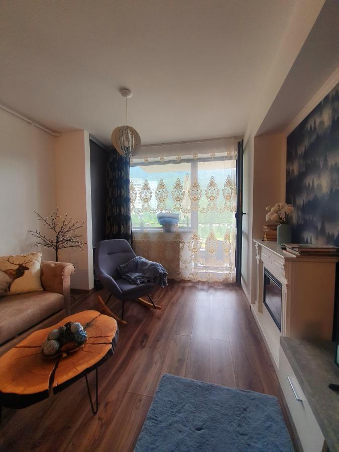 Vintage Home Sinaia Exterior photo